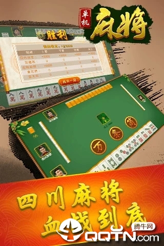 桦南麻将1