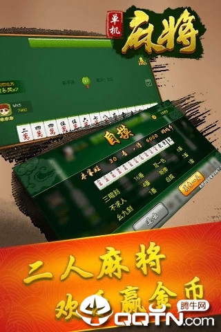 桦南麻将2