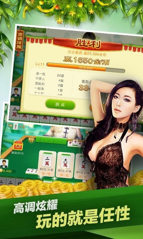 麻将英雄 1.1 (Mahjong Hero)1